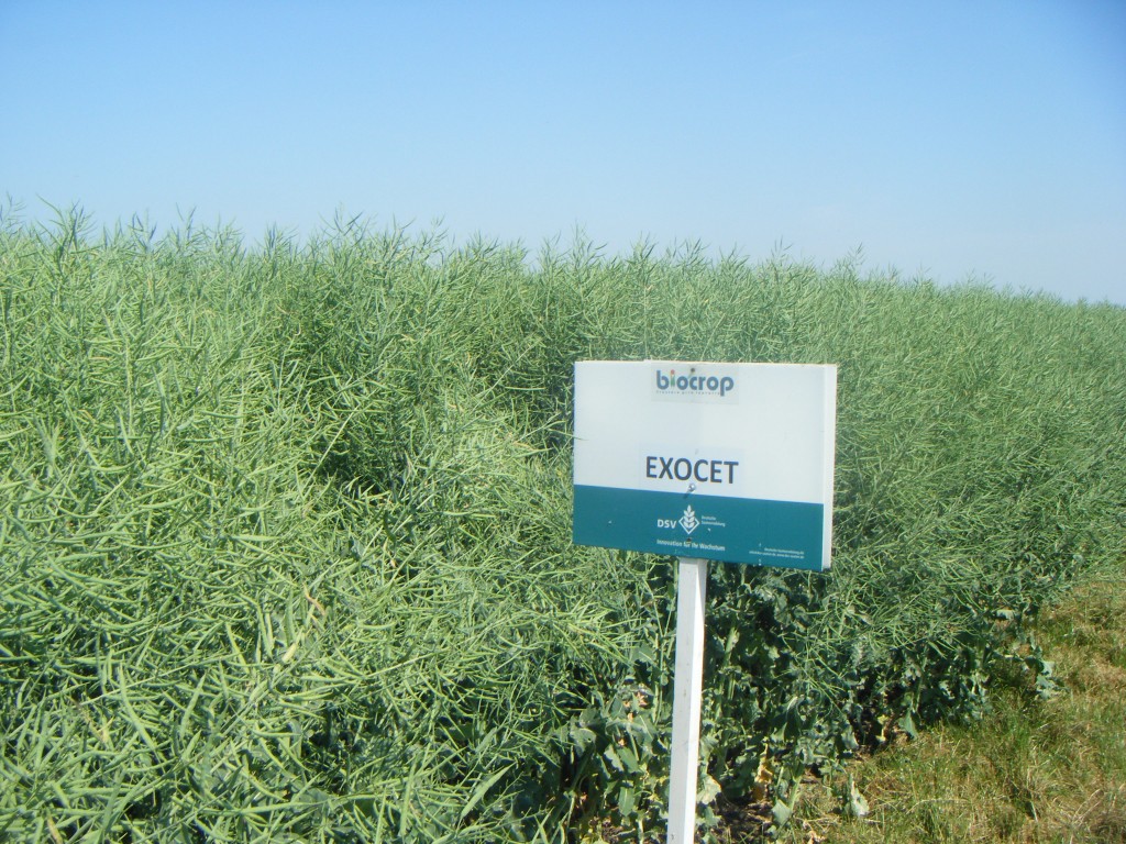 lot demonstrativ - Biocrop 2010