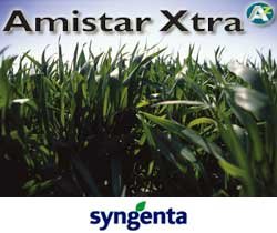  - Syngenta-amistar-xtra